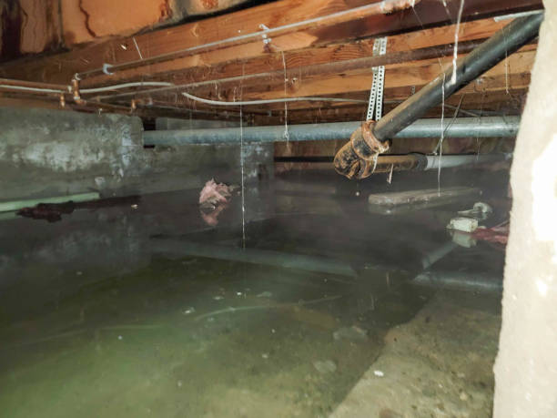 Best 24-hour water damage restoration  in Laguna Woods, CA