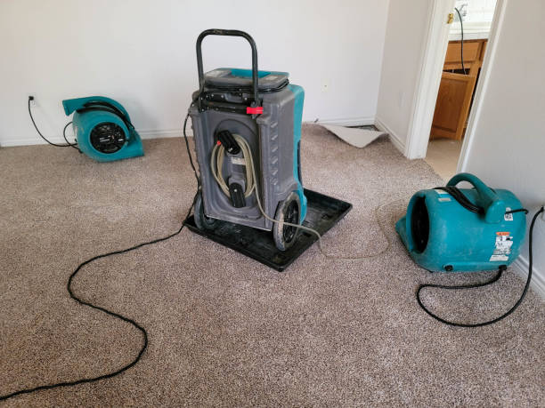Best Carpet water damage restoration  in Laguna Woods, CA