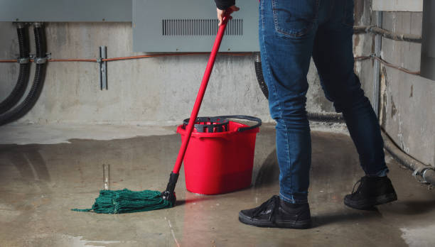 Best Water damage contractors near me  in Laguna Woods, CA