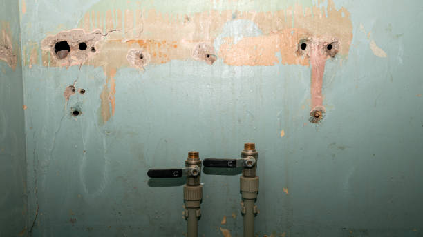 Best Water damage restoration services  in Laguna Woods, CA