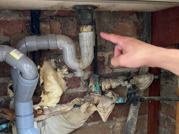 Best Fire Damage Restoration  in Laguna Woods, CA